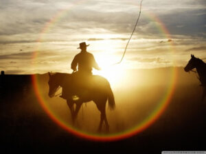 horse-guy-300x225